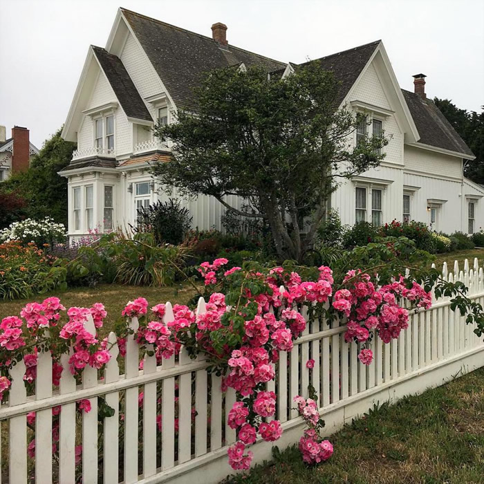 blair house with pink bloom spilling over picket fence